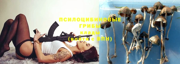 молекула духа Дмитриев