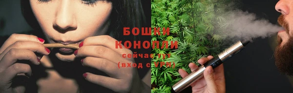 молекула духа Дмитриев