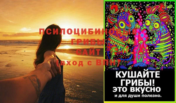 mdpv Ельня