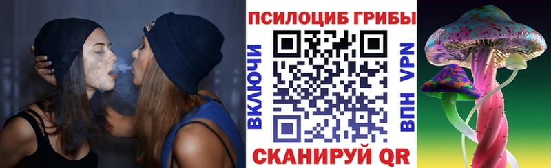 ОМГ ОМГ зеркало  Петров Вал  Псилоцибиновые грибы мухоморы 