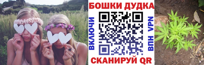 Каннабис индика  Петров Вал 